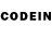 Альфа ПВП СК Command promt