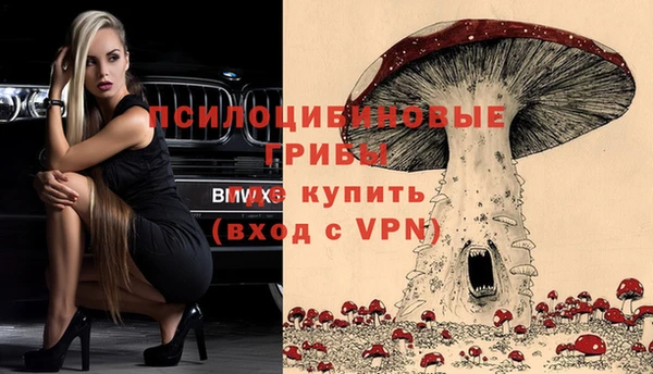 apvp Алзамай
