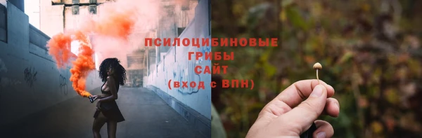 apvp Алзамай