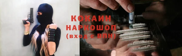 apvp Алзамай