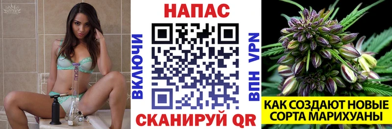 Бошки Шишки планчик  Купить закладки  Арамиль 